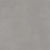 Ambiant Supreme Beton 5701 Warmgrijs - Vinyl