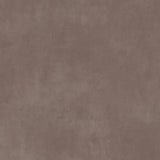 Ambiant Supreme Beton 5711 Bruingrijs - Vinyl