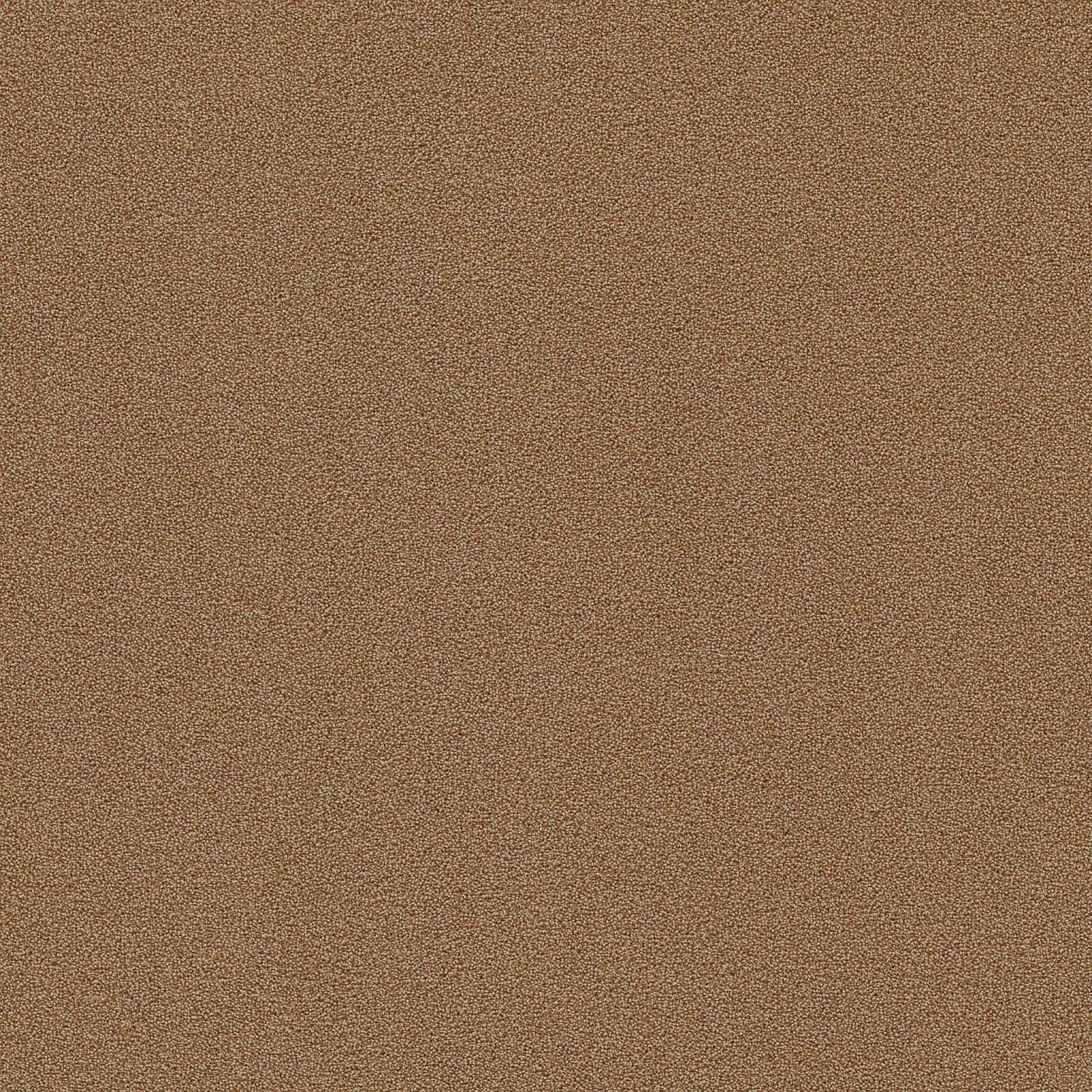 Ambiant Traffic Steppe 0495 - Vloerbedekking - Tapijt