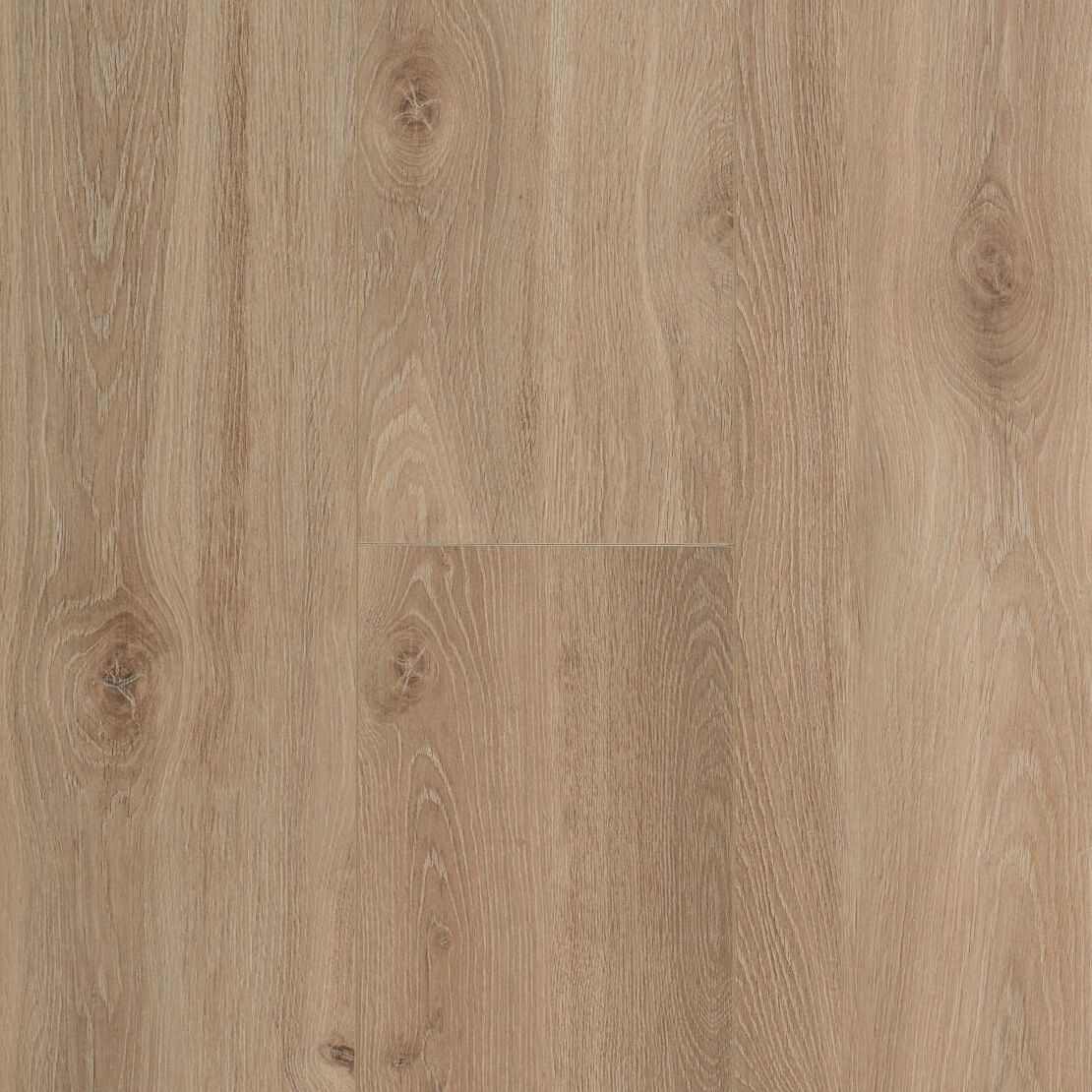 Berry Alloc Connect 8 XL 62002416 Bloom Light Brown Laminaat
