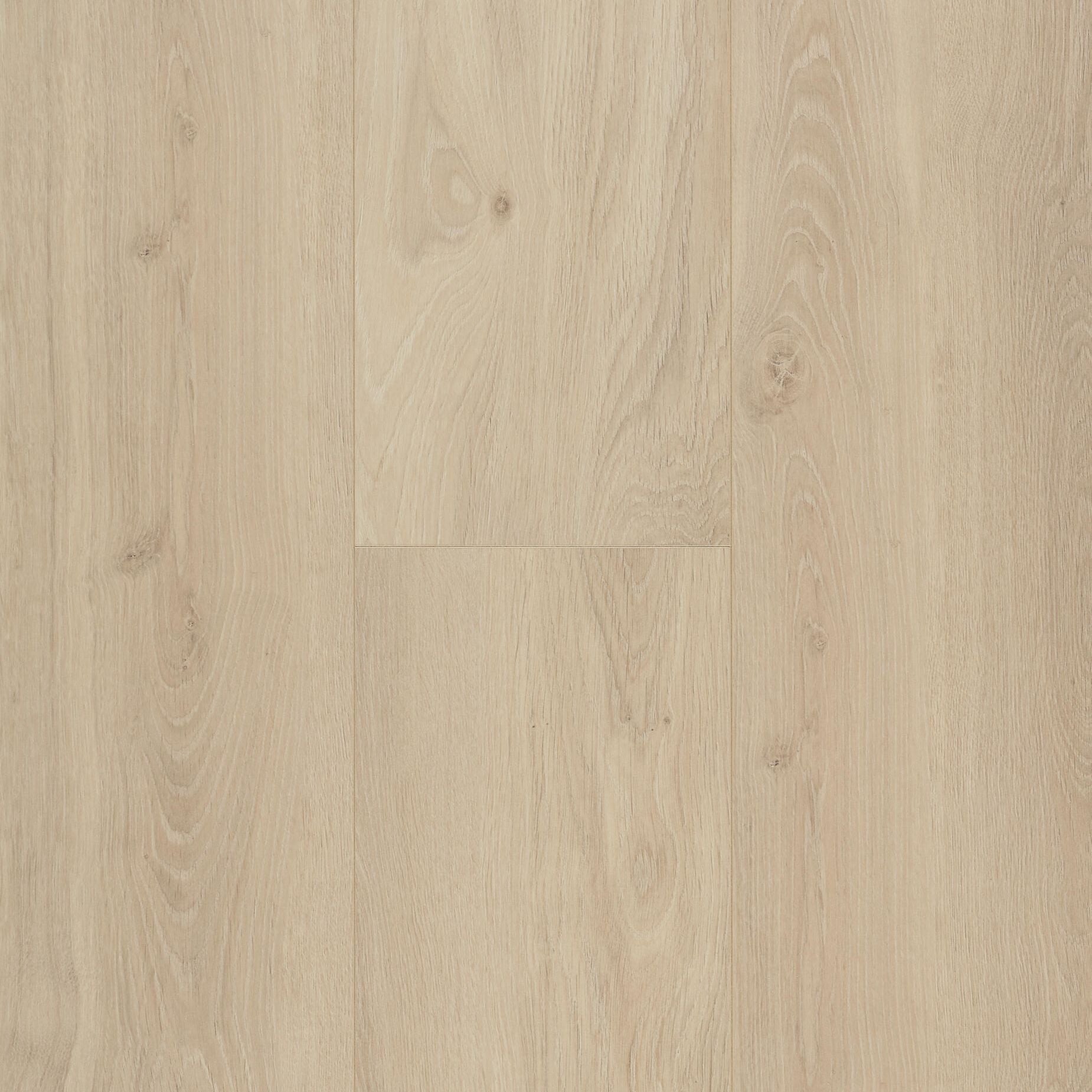 Berry Alloc Connect 8 XL 62002415 Bloom Sand Natural Laminaat