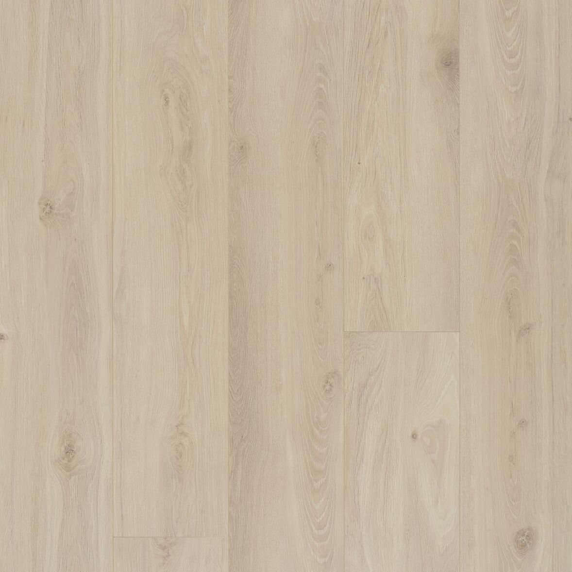 Berry Alloc Connect 8 XL 62002415 Bloom Sand Natural Laminaat