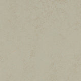 Marmoleum Concrete 3760 Dust - Linoleum