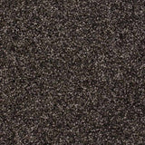 Gelasta Montana SDN 920 Donkerbruin - Tapijt