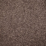 Gelasta Xtreme SDN 49 - Tapijt