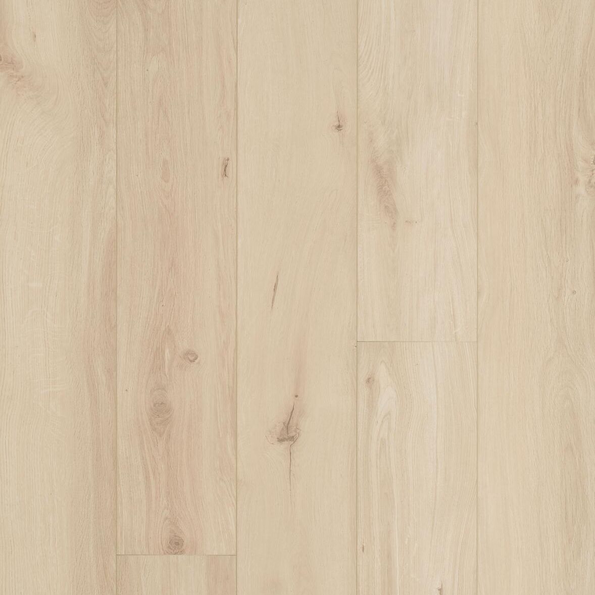 Berry Alloc Connect 8 XL 62002257 Gyant Xl Light Sand Laminaat