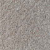 Interfloor Noblesse Wool 739 - Vloerbedekking - Tapijt