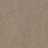 Marmoleum Fresco 3246 Shrike - Linoleum