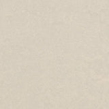 Marmoleum Fresco 3257 Eidelweiss - Linoleum