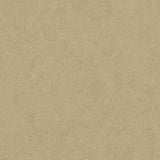 Marmoleum Fresco 3890 Oat - Linoleum