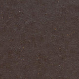 Marmoleum Cocoa 3581 Dark Chocolate - Linoleum