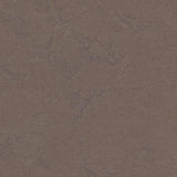 Marmoleum Concrete 3568 Delta Lace - Linoleum