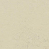 Marmoleum Concrete 3701 Moon - Linoleum