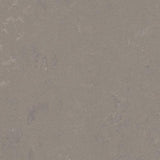 Marmoleum Concrete 3702 Liquid Clay - Linoleum