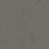 Marmoleum Concrete 3703 Comet - Linoleum