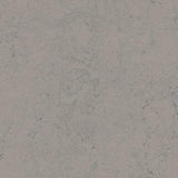 Marmoleum Concrete 3704 Satellite - Linoleum