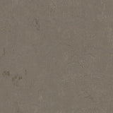 Marmoleum Concrete 3705 Meteorite - Linoleum