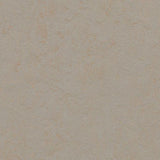 Marmoleum Concrete 3706 Beton - Linoleum