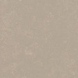 Marmoleum Concrete 3708 Fossil - Linoleum