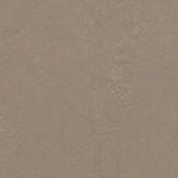 Marmoleum Concrete 3709 Silt - Linoleum