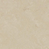 Marmoleum Concrete 3711 Cloudy Sand - Linoleum