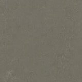 Marmoleum Concrete 3723 Nebula - Linoleum