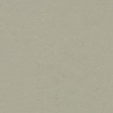 Marmoleum Concrete 3724 Orbit - Linoleum