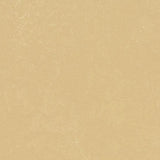 Marmoleum Concrete 3726 Venus - Linoleum