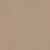 Marmoleum Concrete 3727 Drift - Linoleum