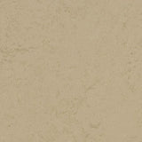 Marmoleum Concrete 3728 Kaolin - Linoleum