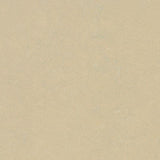 Marmoleum Concrete 3729 Mica - Linoleum