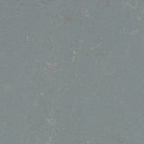 Marmoleum Concrete 3731 Flux - Linoleum