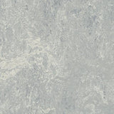 Marmoleum Decibel 262135 Dove Grey - Linoleum