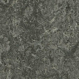 Marmoleum Decibel 304835 Graphite - Linoleum