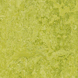 Marmoleum Decibel 322435 Chartreuse - Linoleum