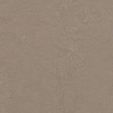 Marmoleum Decibel 370935 Silt - Linoleum