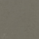 Marmoleum Decibel 372335 Nebula - Linoleum
