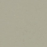 Marmoleum Decibel 372435 Orbit - Linoleum