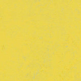 Marmoleum Decibel 374135 Yellow Glow - Linoleum