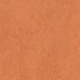 Marmoleum Fresco 3825 African Desert - Linoleum