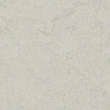 Marmoleum Fresco 3860 Silver Shadow - Linoleum