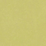 Marmoleum Fresco 3885 Spring Buds - Linoleum