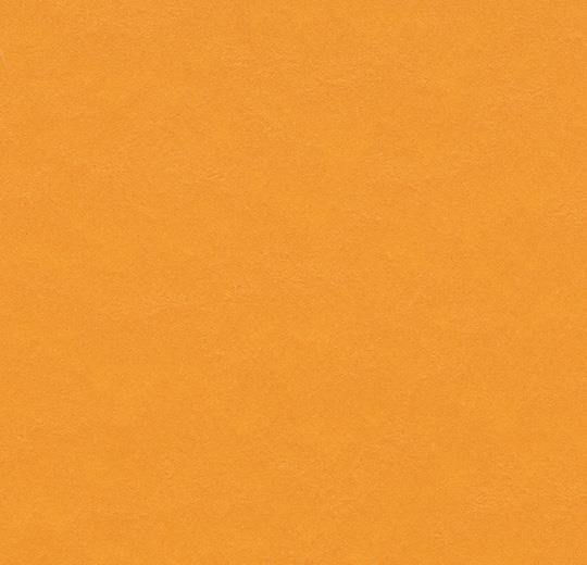 Marmoleum Modular Colour t3354 Pumpkin Yellow - HarmanXL Vloerenoutlet Amsterdam