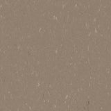 Marmoleum Piano 3631 Otter - Linoleum