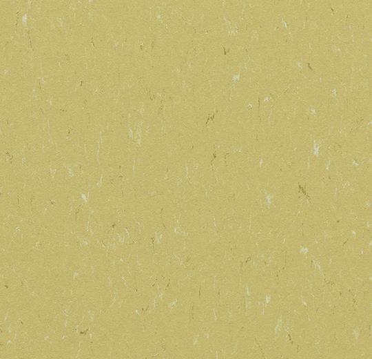 Marmoleum Piano 3634 Meadow - Linoleum - Harman Vloeren Amsterdam
