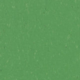 Marmoleum Piano 3647 Nettle Green - Linoleum
