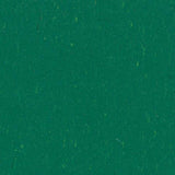 Marmoleum Piano 3649 Greenwood - Linoleum