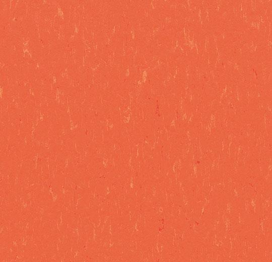 Marmoleum Piano 3651 Zinnia - Linoleum - Harman Vloeren Amsterdam