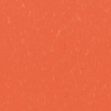Marmoleum Piano 3651 Zinnia - Linoleum