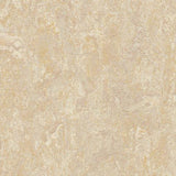 Marmoleum Real 2499 Sand - Linoleum